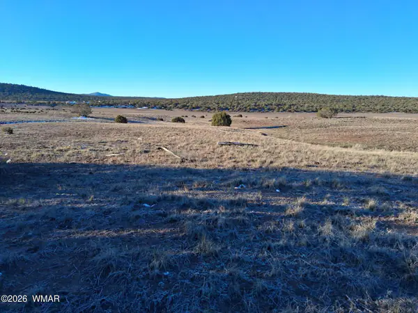 92 County Road 8223 Road, Concho, AZ 85924
