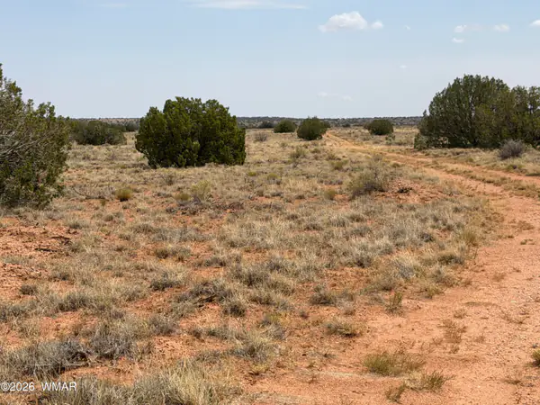 Lot 562 Chevelon Canyon Ranch Drive 4, Heber, AZ 85928