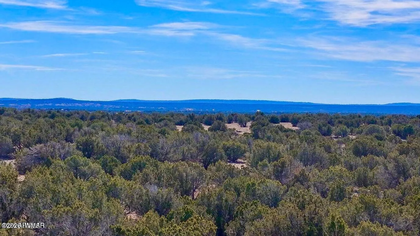 9023 Appaloosa Lots C & E Trail, Show Low, AZ 85901 — Photo 1 of 1