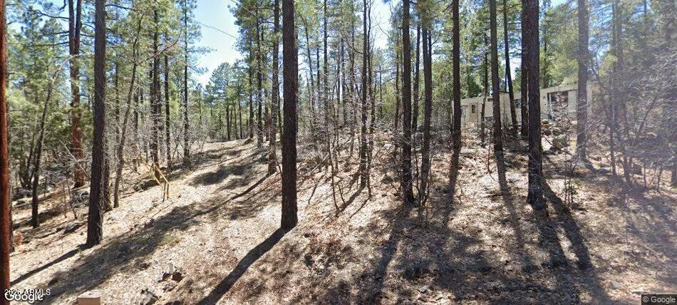 1437 E Elk Lane 33, Pinetop-Lakeside, AZ 85929 — Photo 1 of 3