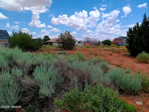 96 N Lyon Gate Drive, Snowflake, AZ 85937