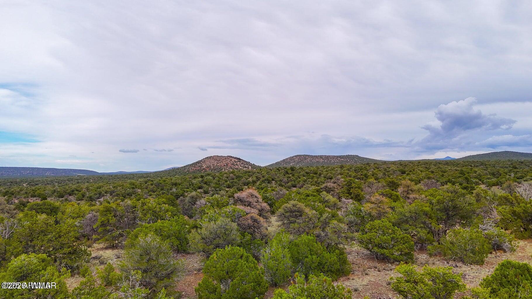 132 E Sidewinder Road, Williams, AZ 86046 — Photo 1 of 28