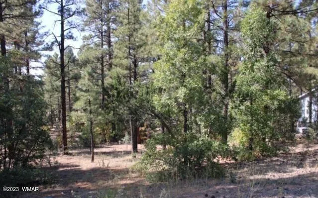 1160 S Cherokee Drive, Show Low, AZ 85901 — Photo 1 of 7