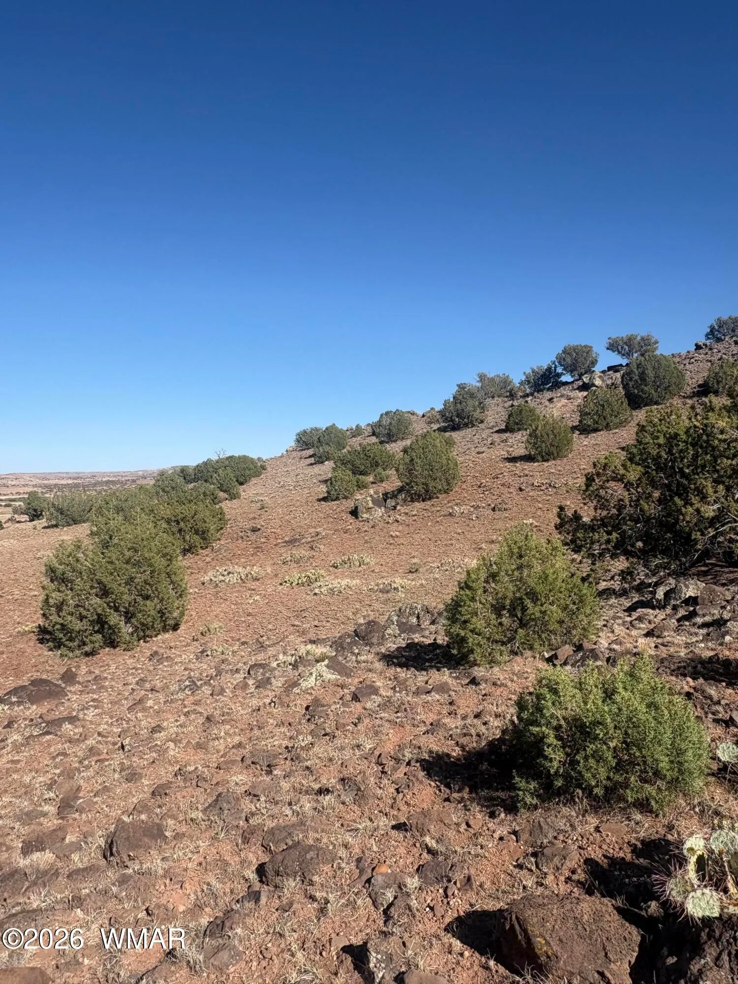 478 N8521, Concho, AZ 85924 — Photo 1 of 8