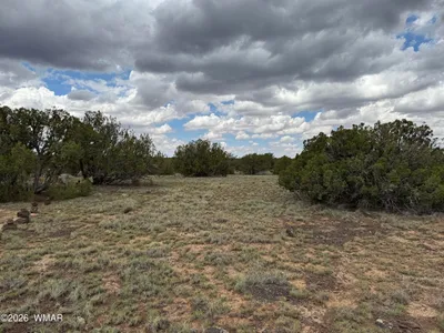 214 CR 8051, lot 1678, Concho, AZ 85924