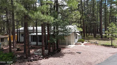1301 N 45TH Drive, Show Low, AZ 85901