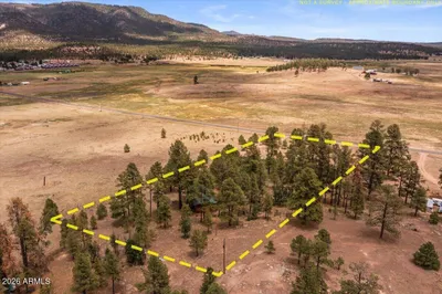 Thumbnail 29
