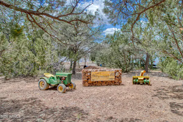 21 N3095 2, Show Low, AZ 85901