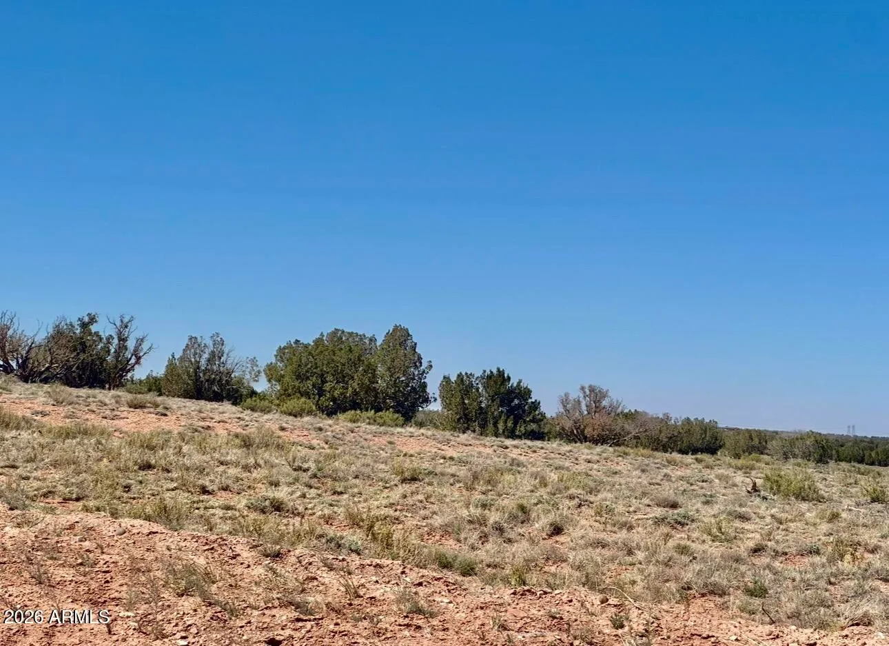 2144 Itasca Trail -, Heber, AZ 85928 — Photo 1 of 1