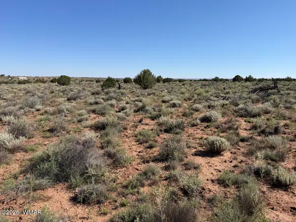 5335 White Antelope Road, Snowflake, AZ 85937