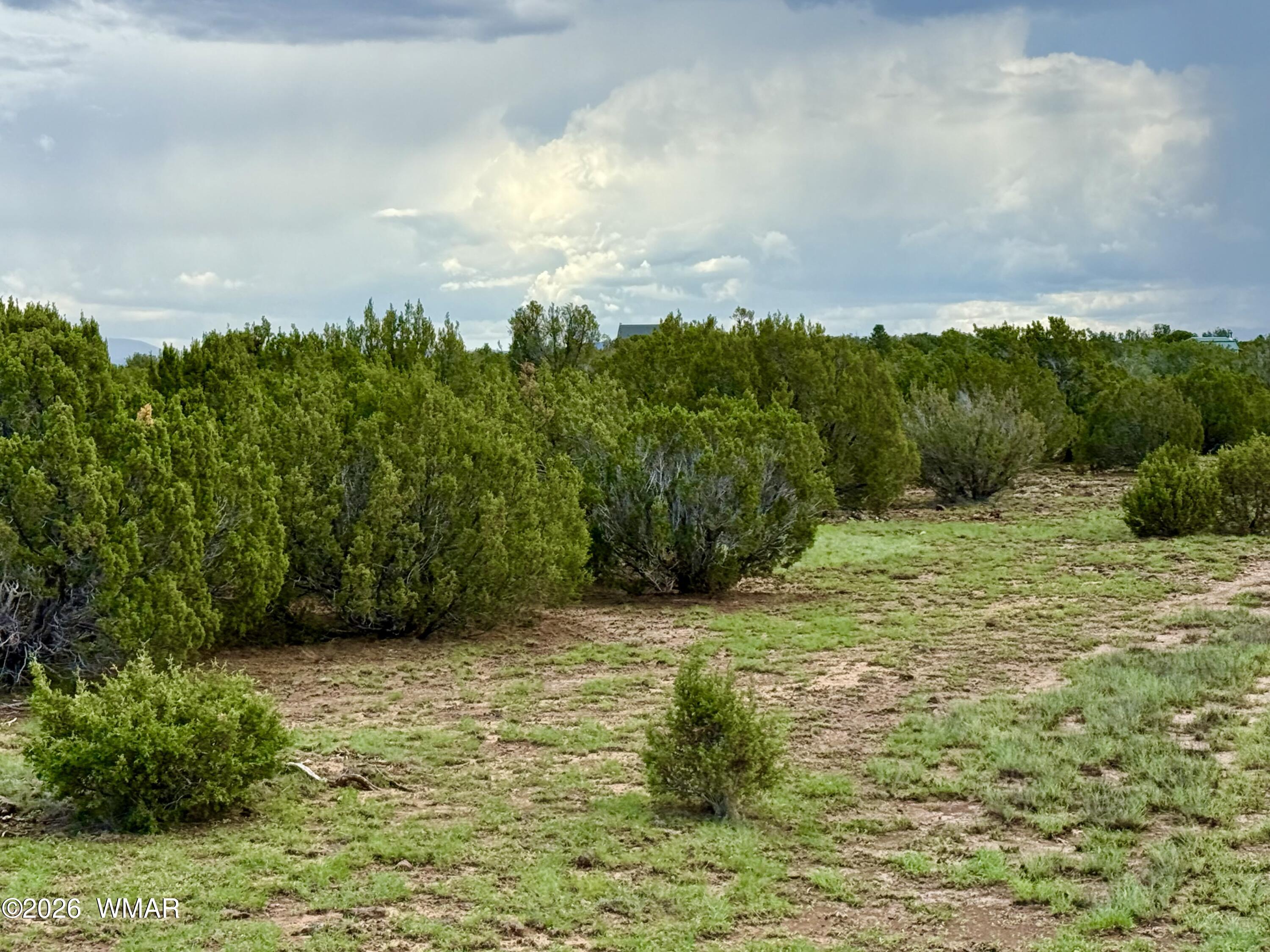 85 Co Rd 8128 Lots 100, 101 & 108 3.33 -, Concho, AZ 85924 — Photo 1 of 50