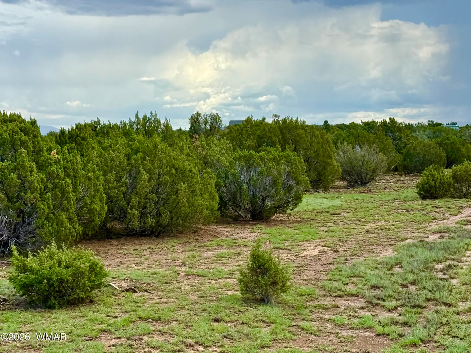 85 Co Rd 8128 Lots 100, 101 & 108 3.33 -, Concho, AZ 85924 — Photo 1 of 50