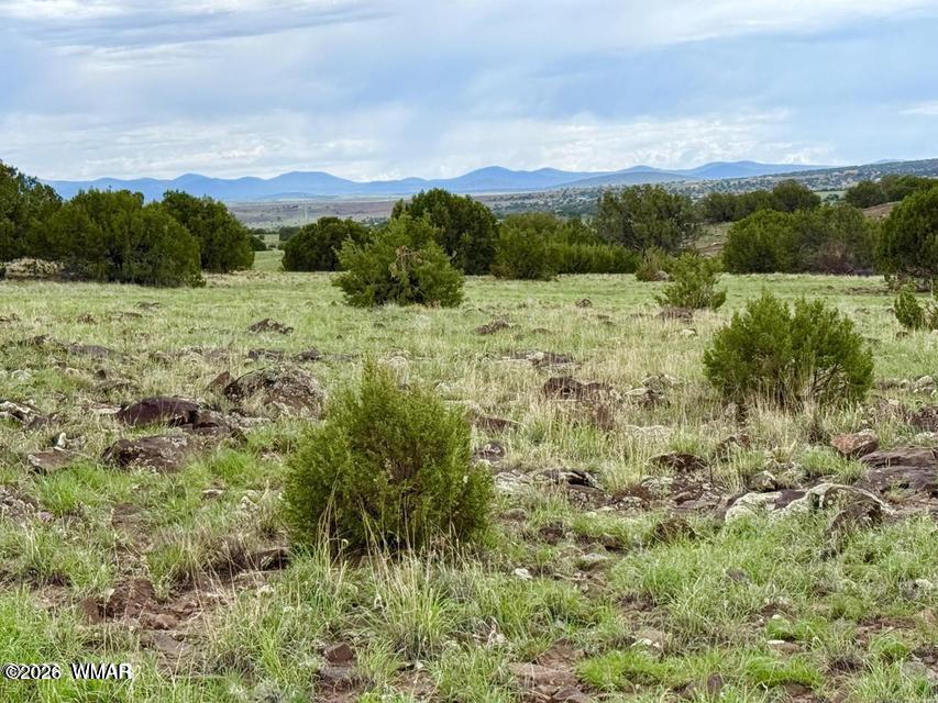108 Co Rd 8127 Road, Concho, AZ 85924 — Photo 1 of 17