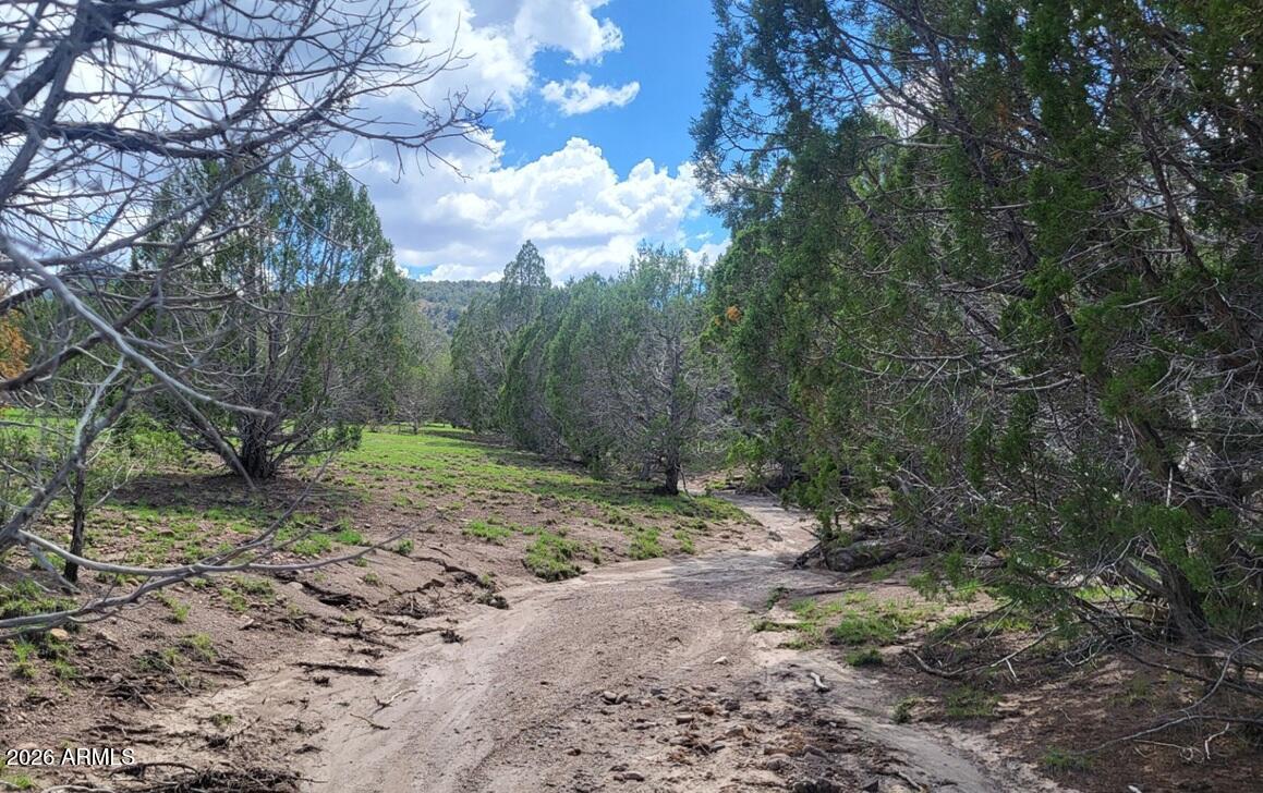 111 N Ranch Road 111, Williams, AZ 86046 — Photo 1 of 21