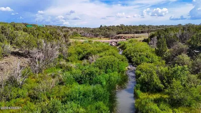 1922 Creekside Circle, Show Low, AZ 85901
