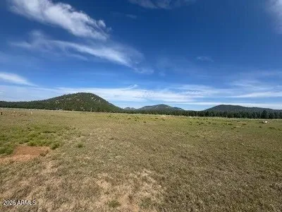 Lot 36 N Spring Valley Road -, Parks, AZ 86018