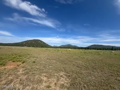 Lot 36 N Spring Valley Road -, Parks, AZ 86018