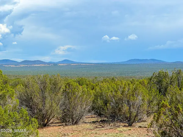 0 GAMPLE LN. 13 ACRES (LOT A), Show Low, AZ 85901