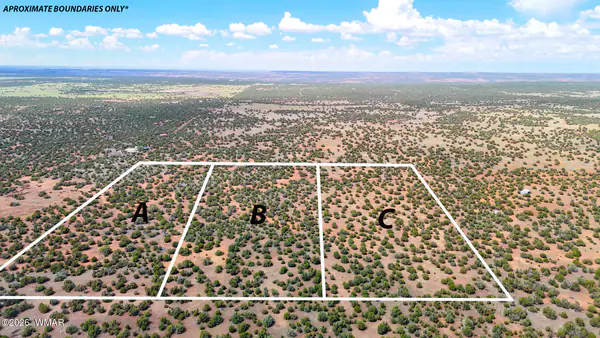 0 GAMPLE LN. 13 ACRES (LOT C), Show Low, AZ 85901