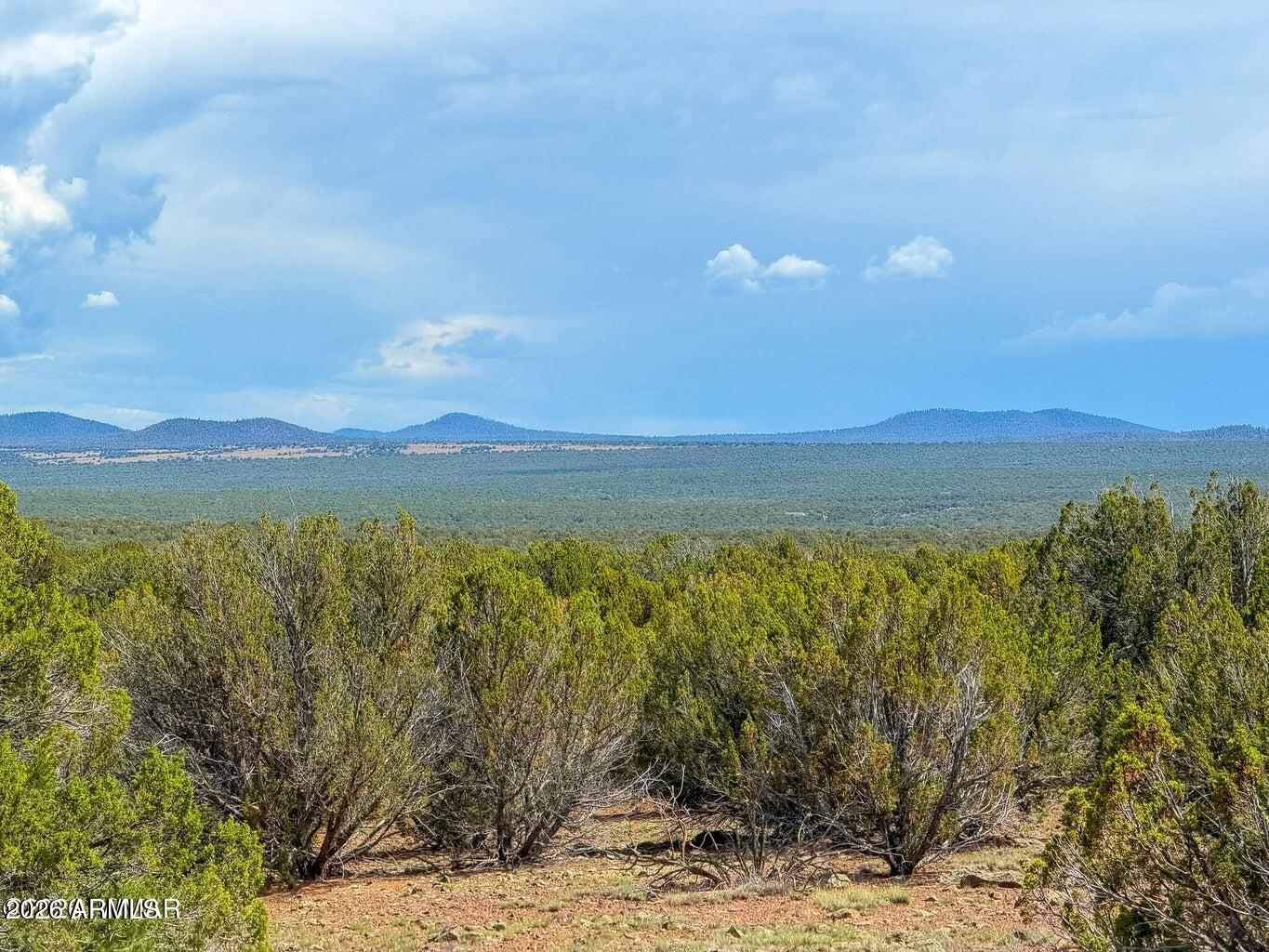 0 Gample Ln 13 Acres (Lot A) -, Show Low, AZ 85901 — Photo 1 of 22