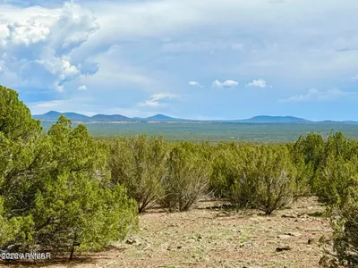 0 Gample Ln 13 Acres (Lot B) -, Show Low, AZ 85901