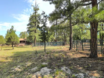 2111 Goshawk Drive, Happy Jack, AZ 86024