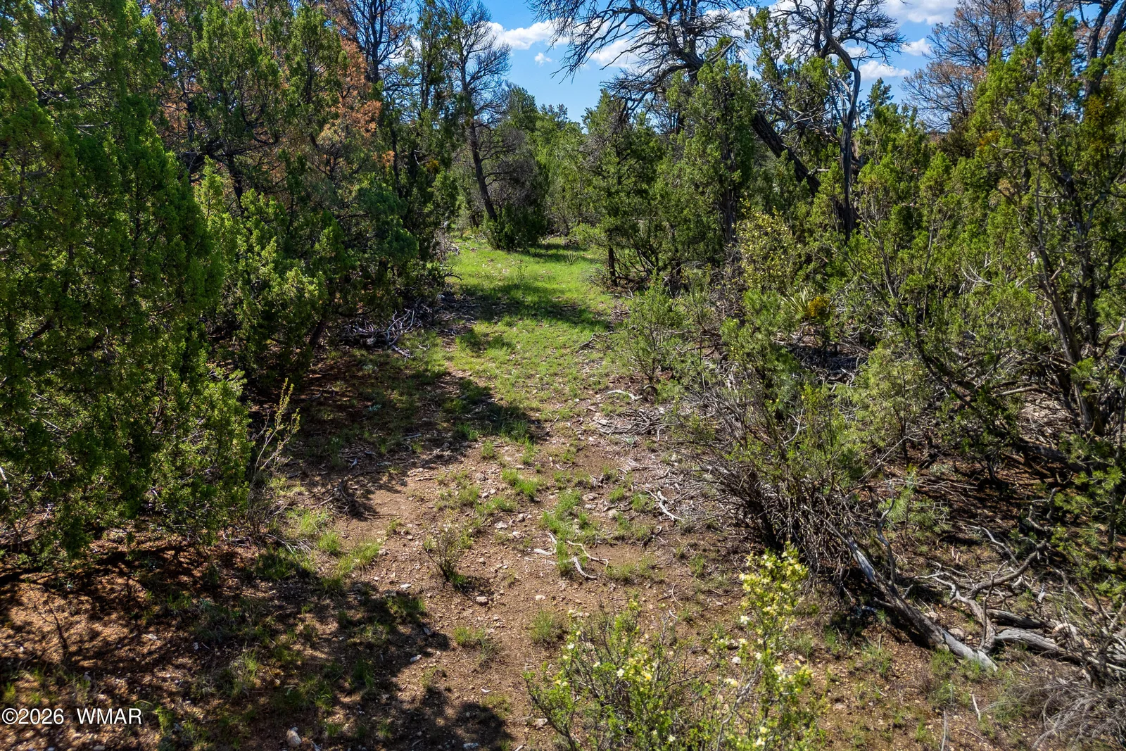 1887 Little Doe Trail, Heber, AZ 85928 — Photo 1 of 17