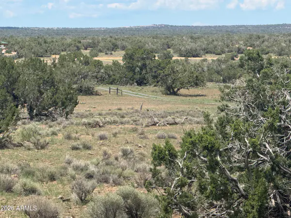 Lot 19 Red Sky Ranch 19, Sanders, AZ 86512
