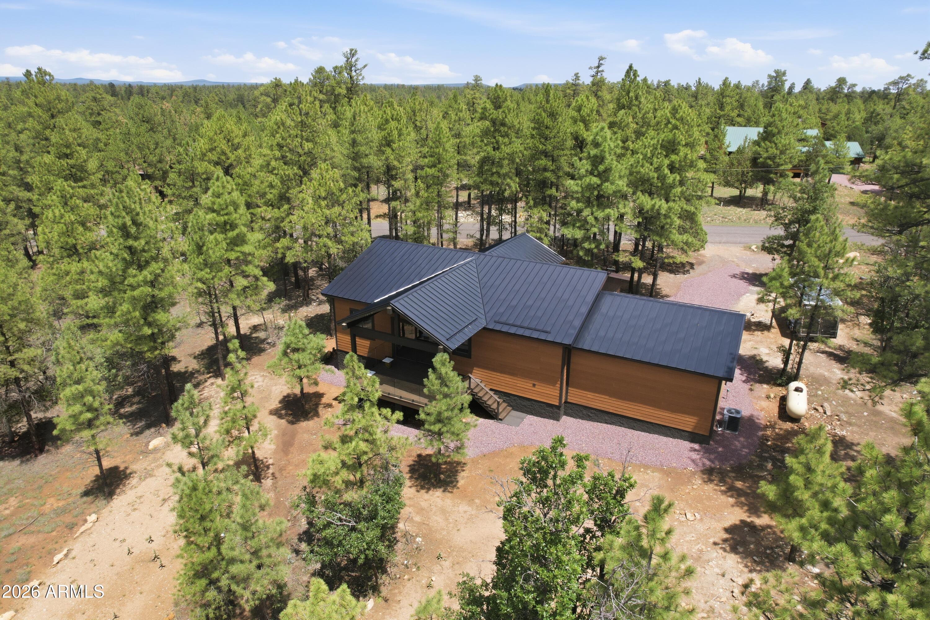 3847 APACHE Drive, Happy Jack, AZ 86024 — Photo 1 of 49