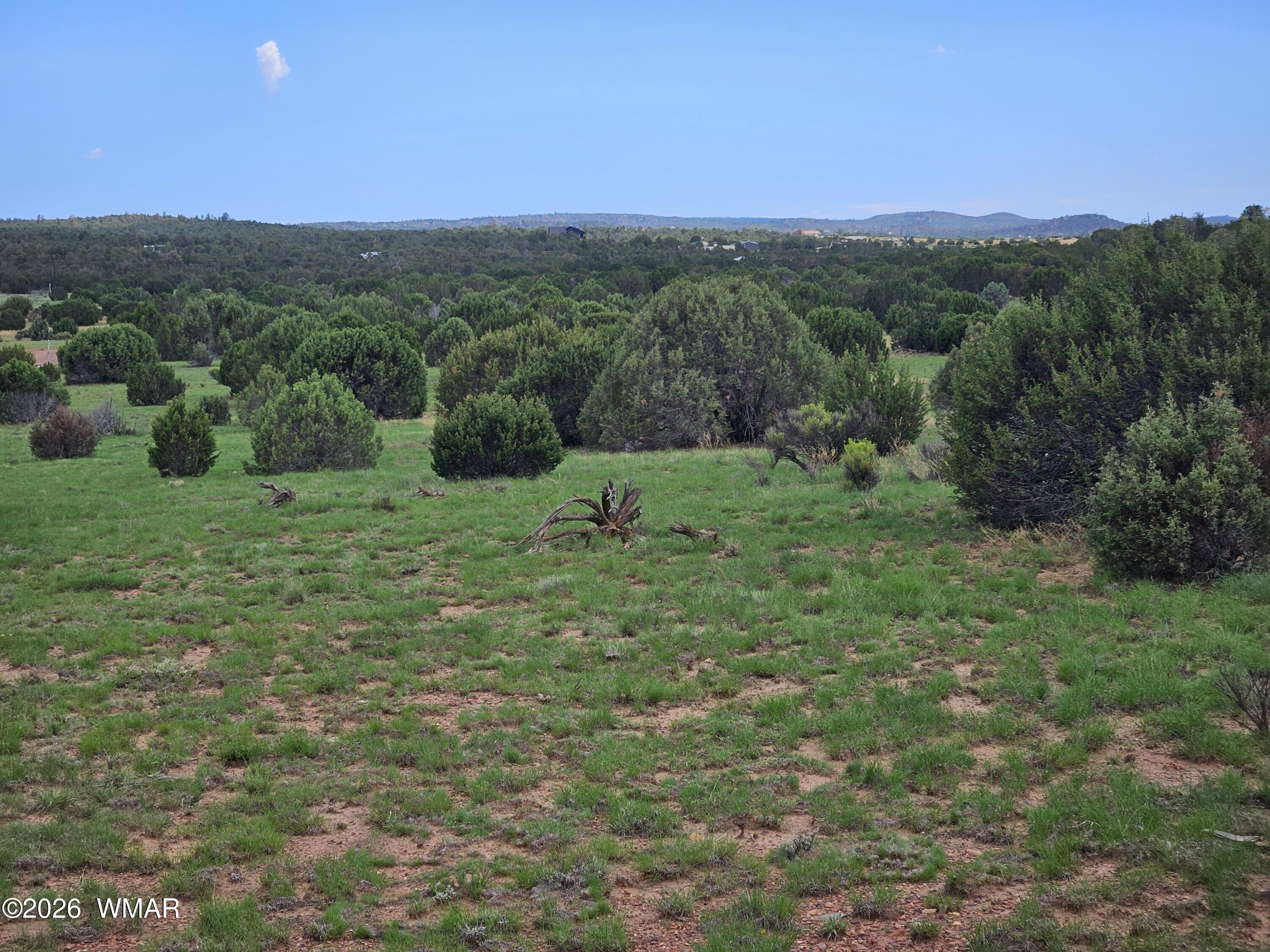 TBD Birdwing Lane, Clay Springs, AZ 85923 — Photo 1 of 24