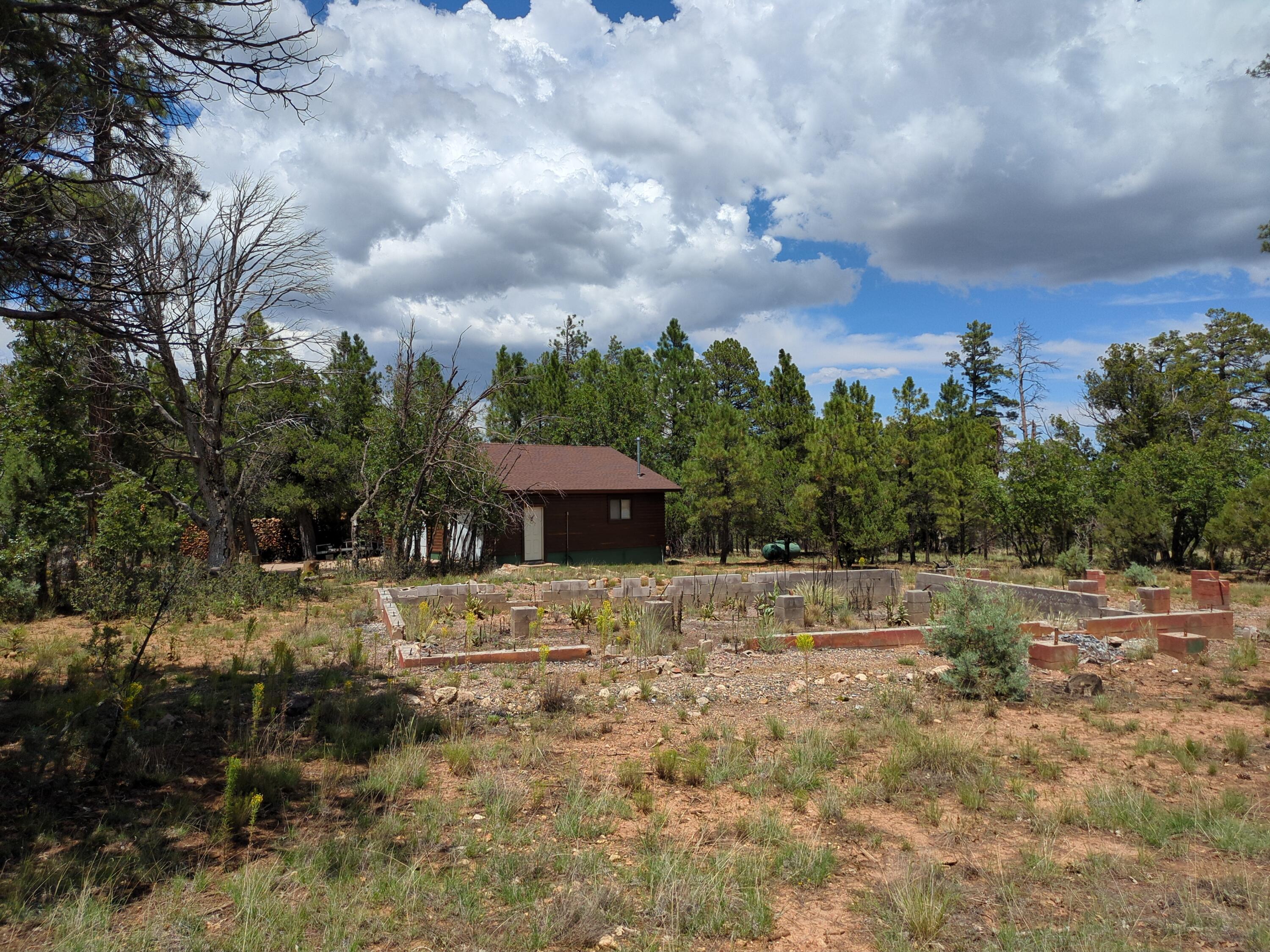 5969 RedTail Lane, Happy Jack, AZ 86024 — Photo 1 of 21