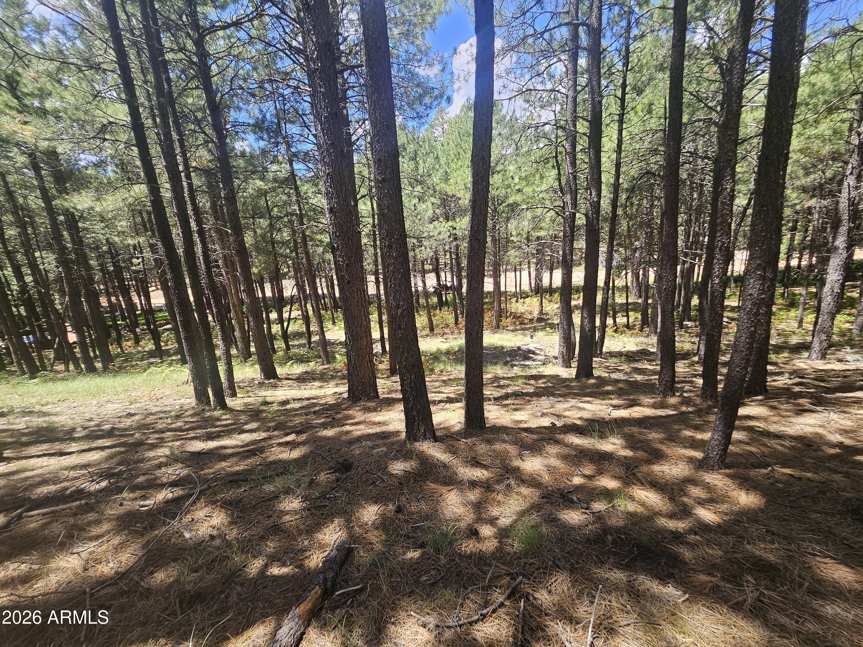 589 TROUT SPRINGS Road 71, Forest Lakes, AZ 85931 — Photo 1 of 4