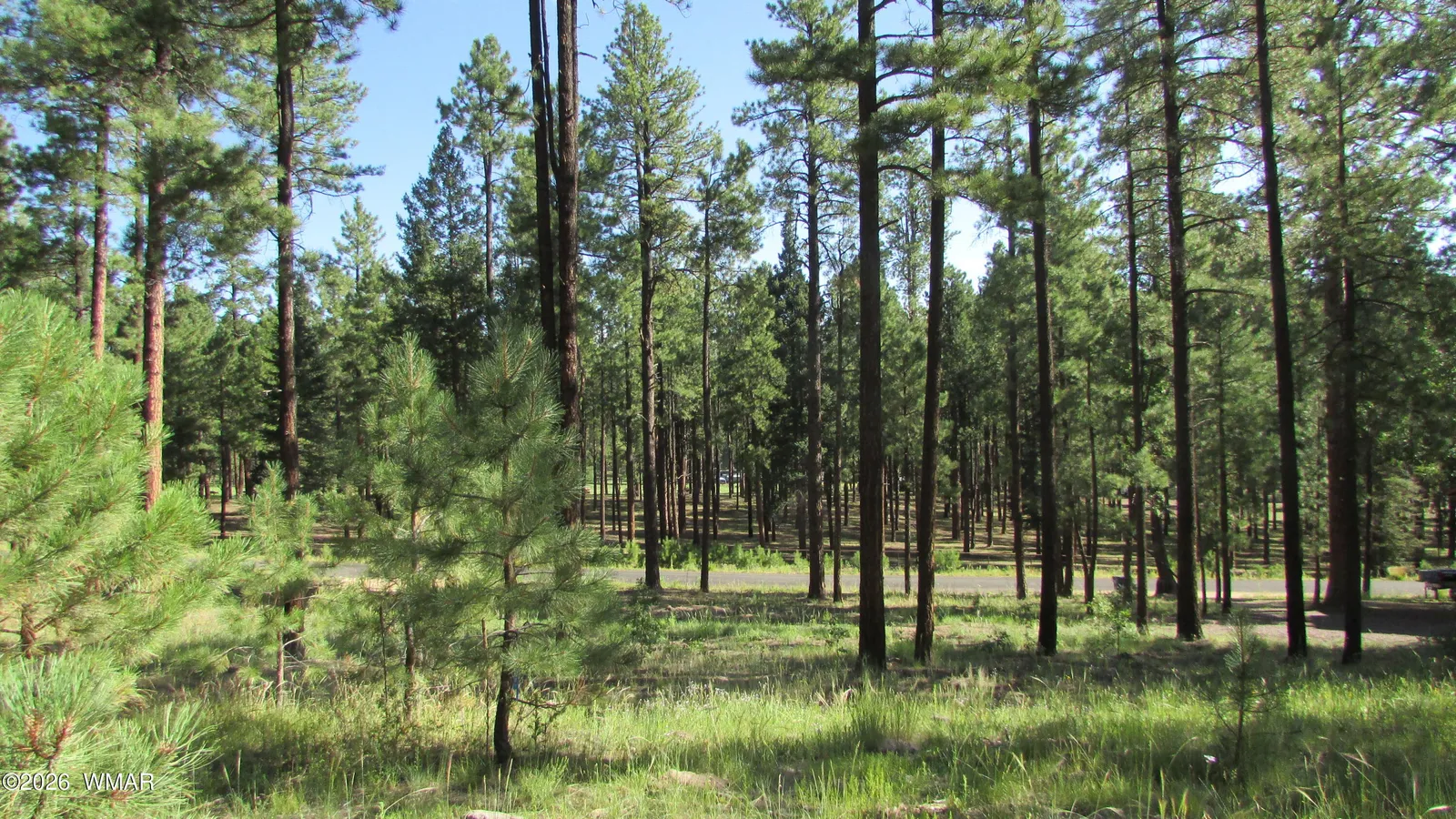 8 CR 2194, Alpine, AZ 85920 — Photo 1 of 12
