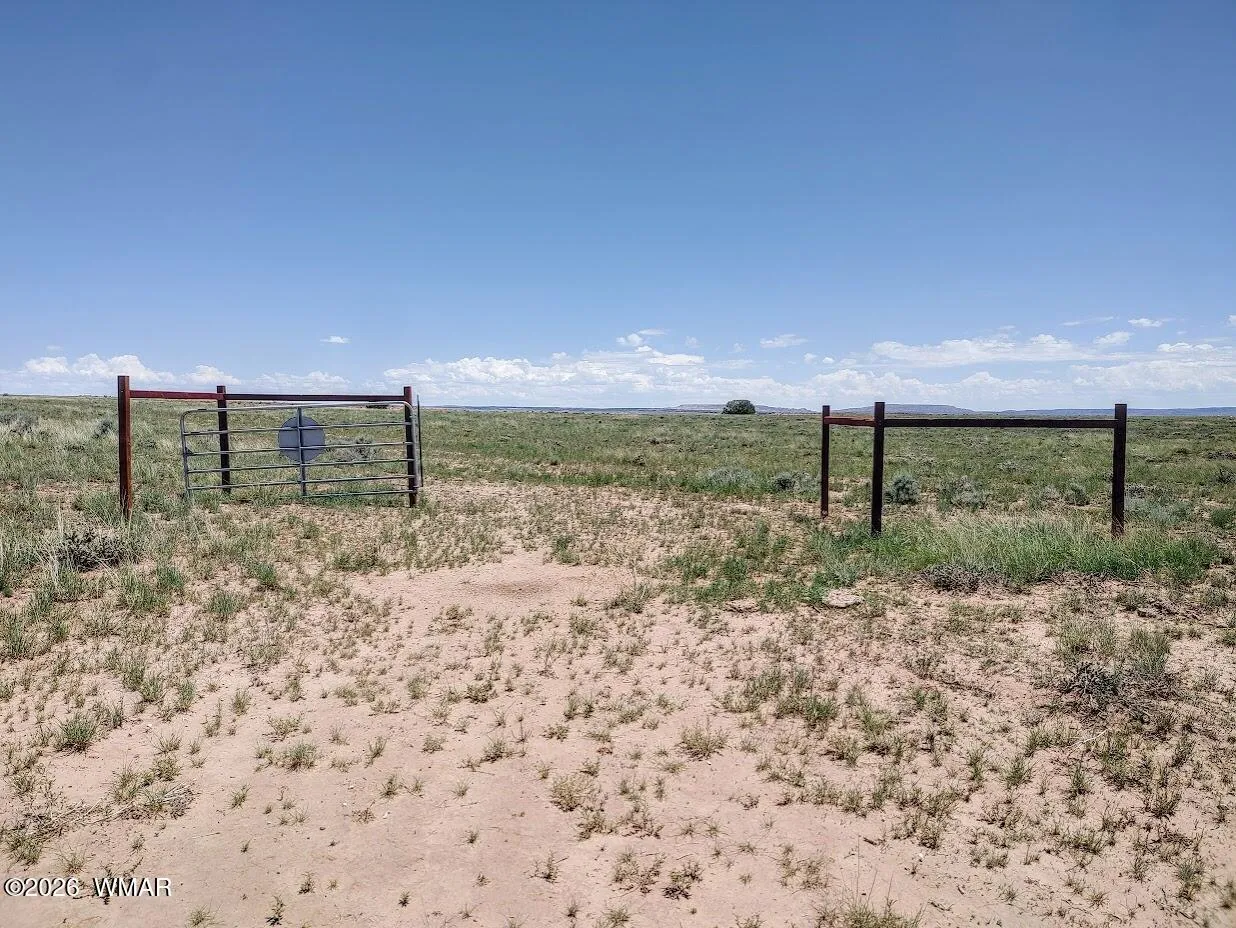 Lot 214 River Meadows Ranch, N9344, Concho, AZ 85924 — Photo 1 of 12