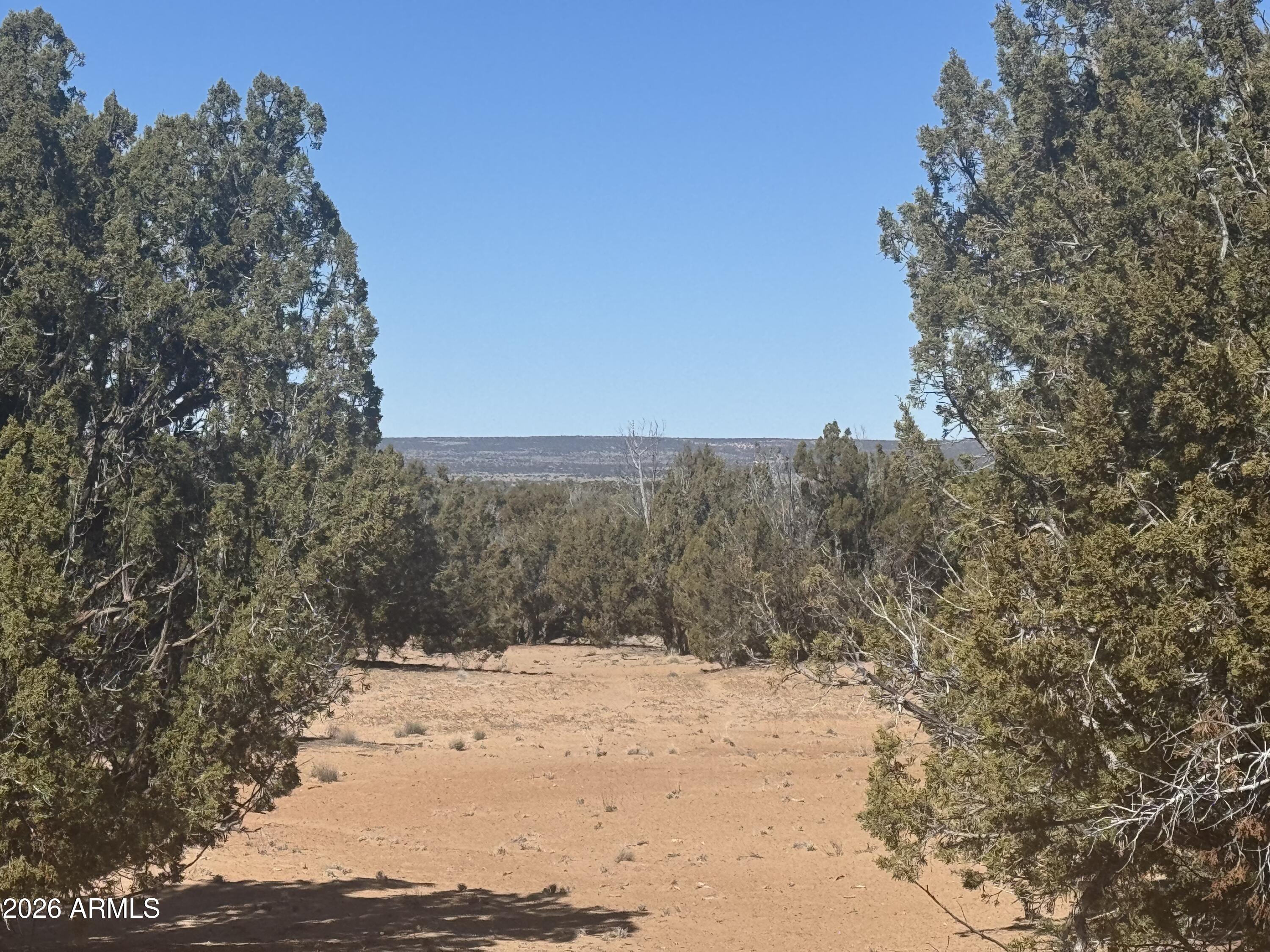 Lot 52 Witch Well Ranchos 52, St Johns, AZ 85936 — Photo 1 of 6