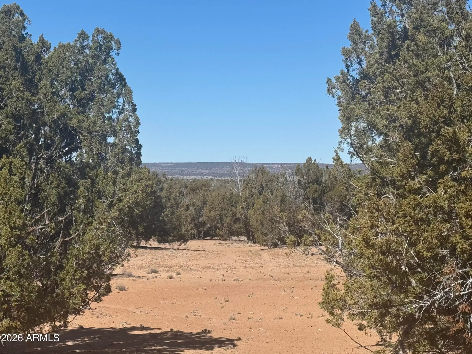Lot 52 Witch Well Ranchos 52, St Johns, AZ 85936 — Photo 1 of 6