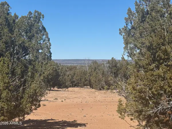 Lot 52 Witch Well Ranchos 52, St Johns, AZ 85936