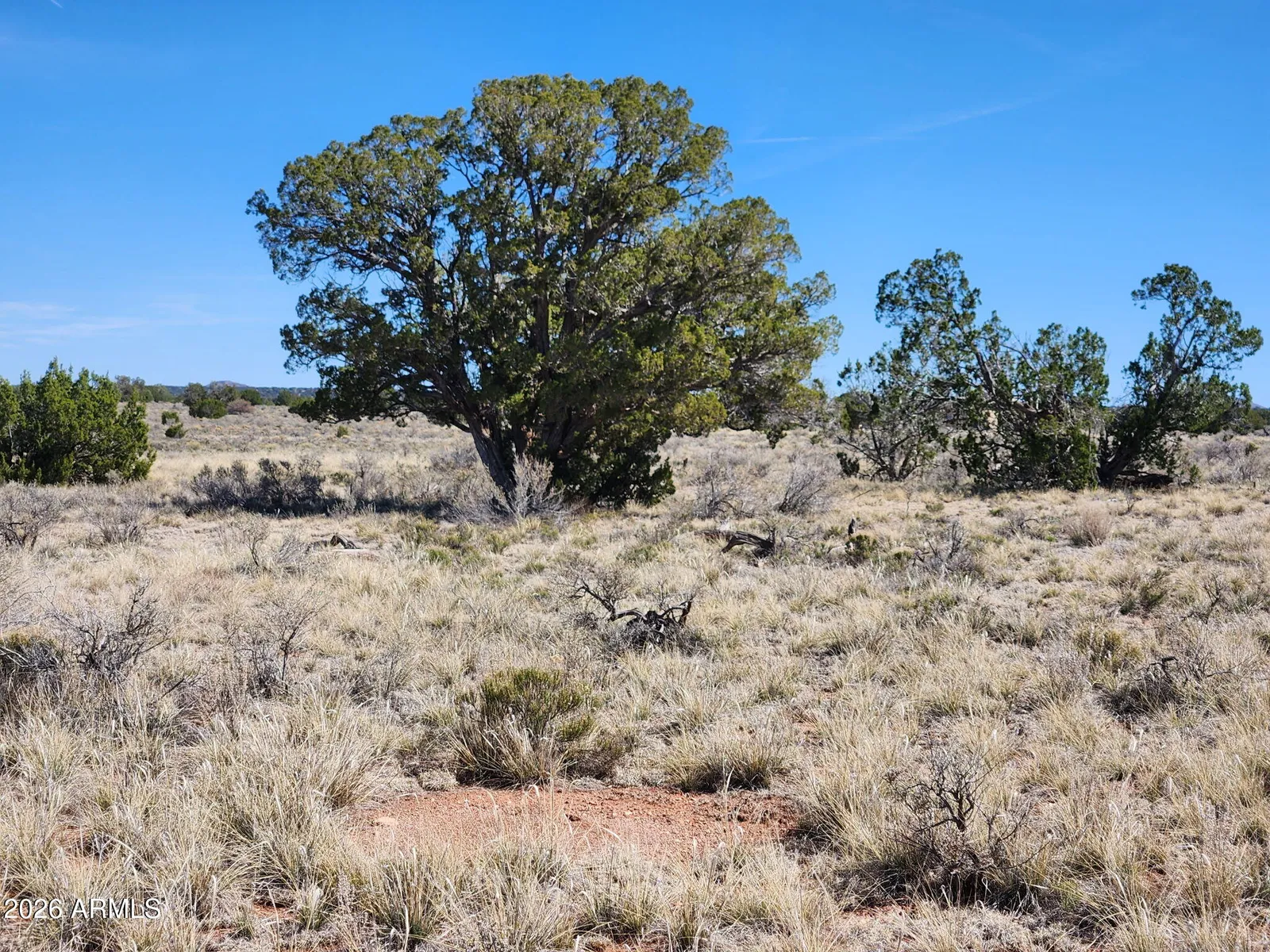 721 S WYANDOTTE Road 243, Williams, AZ 86046 — Photo 1 of 3