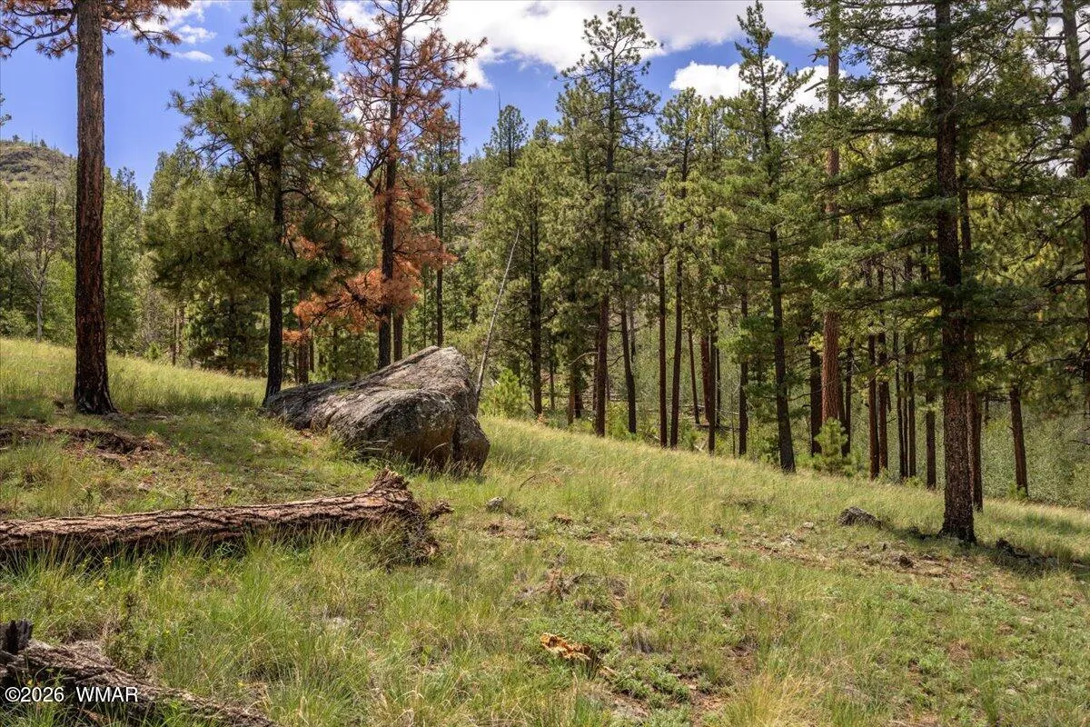 14 COUNTY ROAD N1062 15, Greer, AZ 85927 — Photo 1 of 30