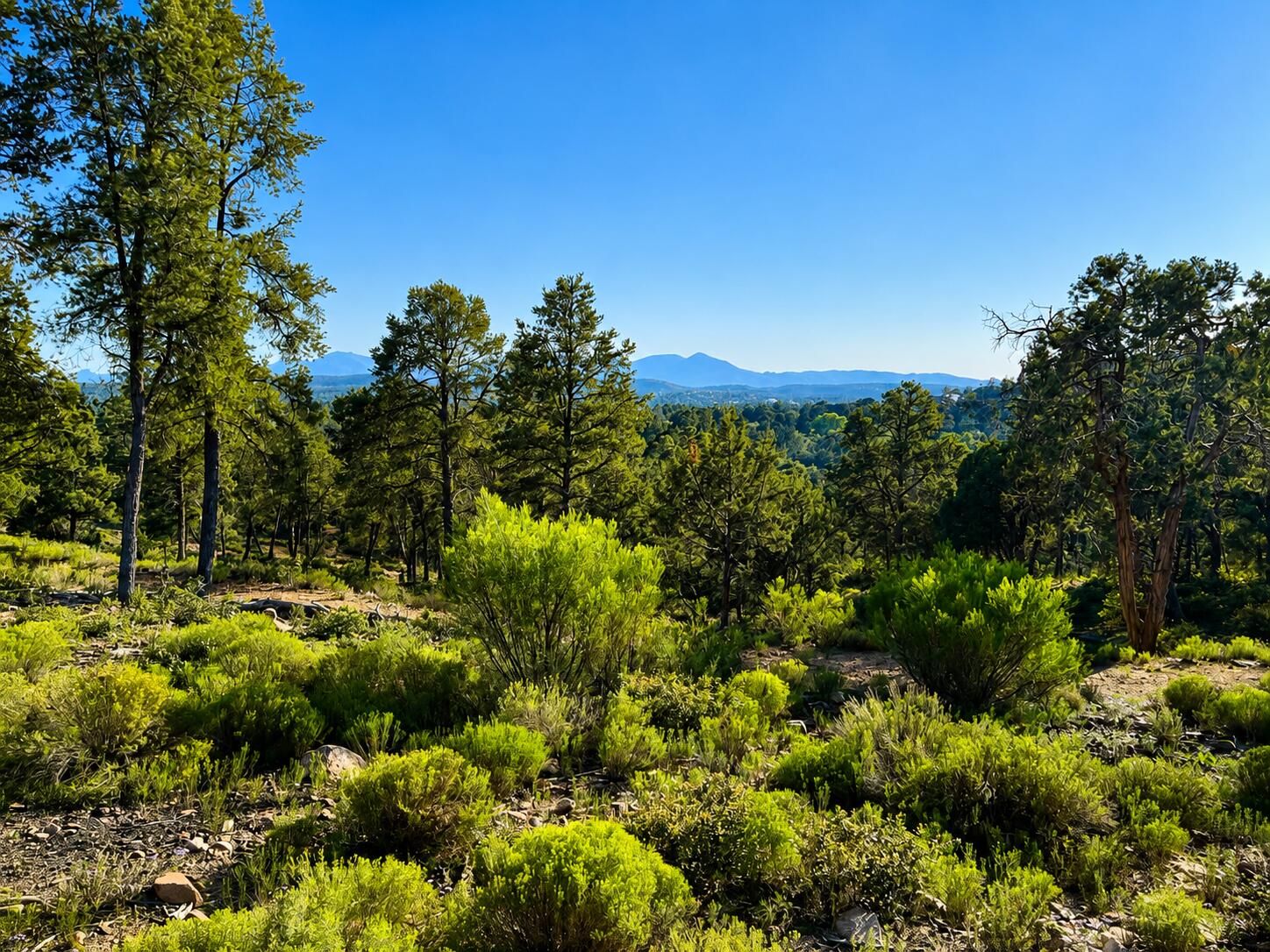 701 N Graham Ranch Road, Payson, AZ 85541 — Photo 1 of 18