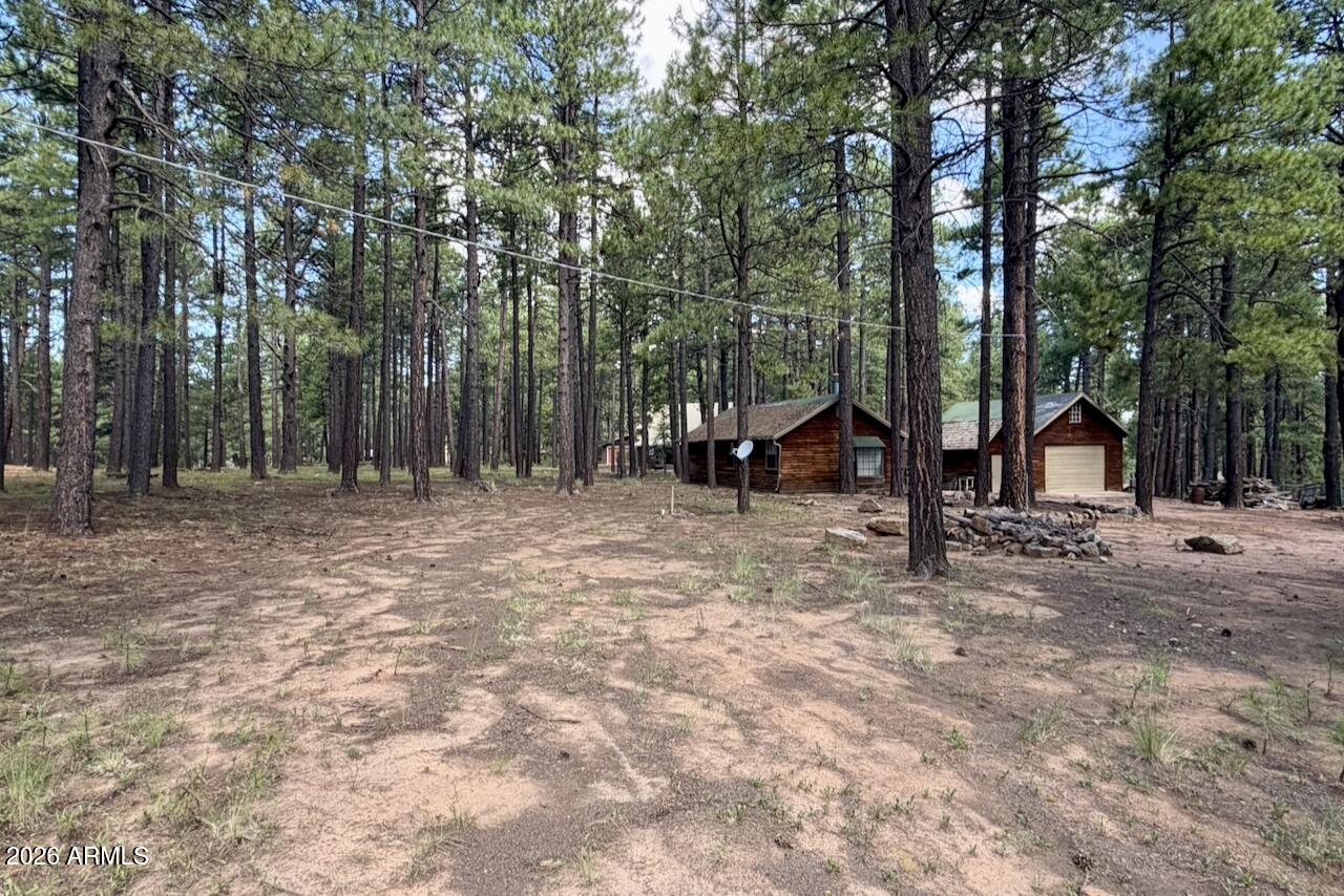 2507 MIDDLE Loop, Forest Lakes, AZ 85931 — Photo 1 of 42