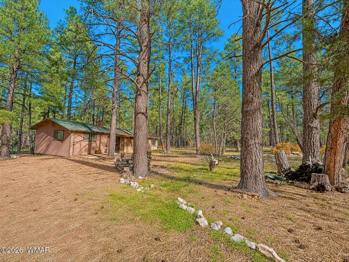 2842 Gold Dust Trail, Show Low, AZ 85901 — Photo 1 of 54