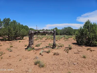 Thumbnail 15