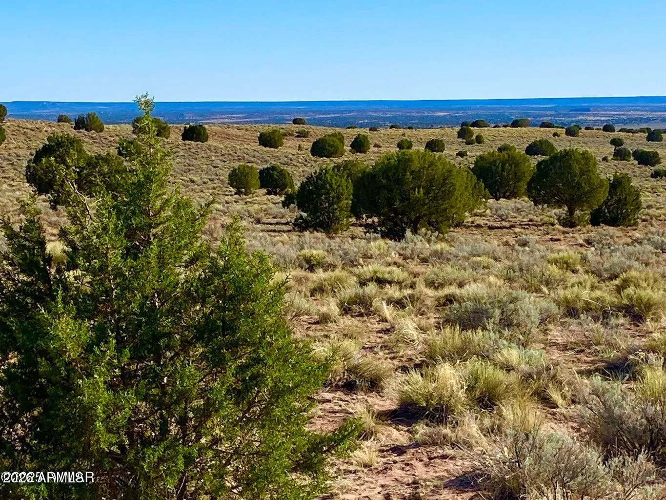 River Meadows Ranch Unit 3 Lot 204 -, Concho, AZ 85924 — Photo 1 of 16