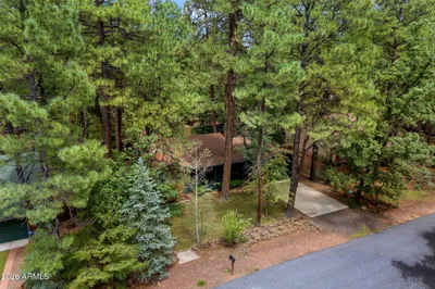 Thumbnail 57
