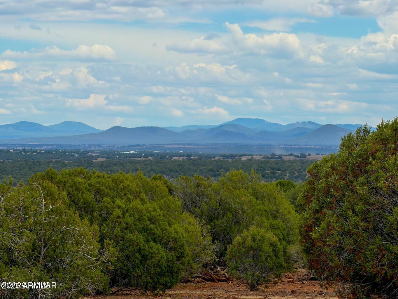 8063 Mustang Ln 10 Acres -, Show Low, AZ 85901 — Photo 1 of 69