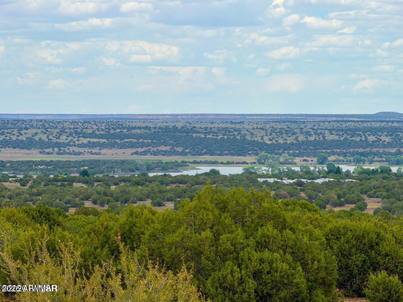 8087 Mustang Ln 20 Acres -, Show Low, AZ 85901 — Photo 1 of 40