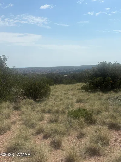 5070 Pina Drive 25, Concho, AZ 85924