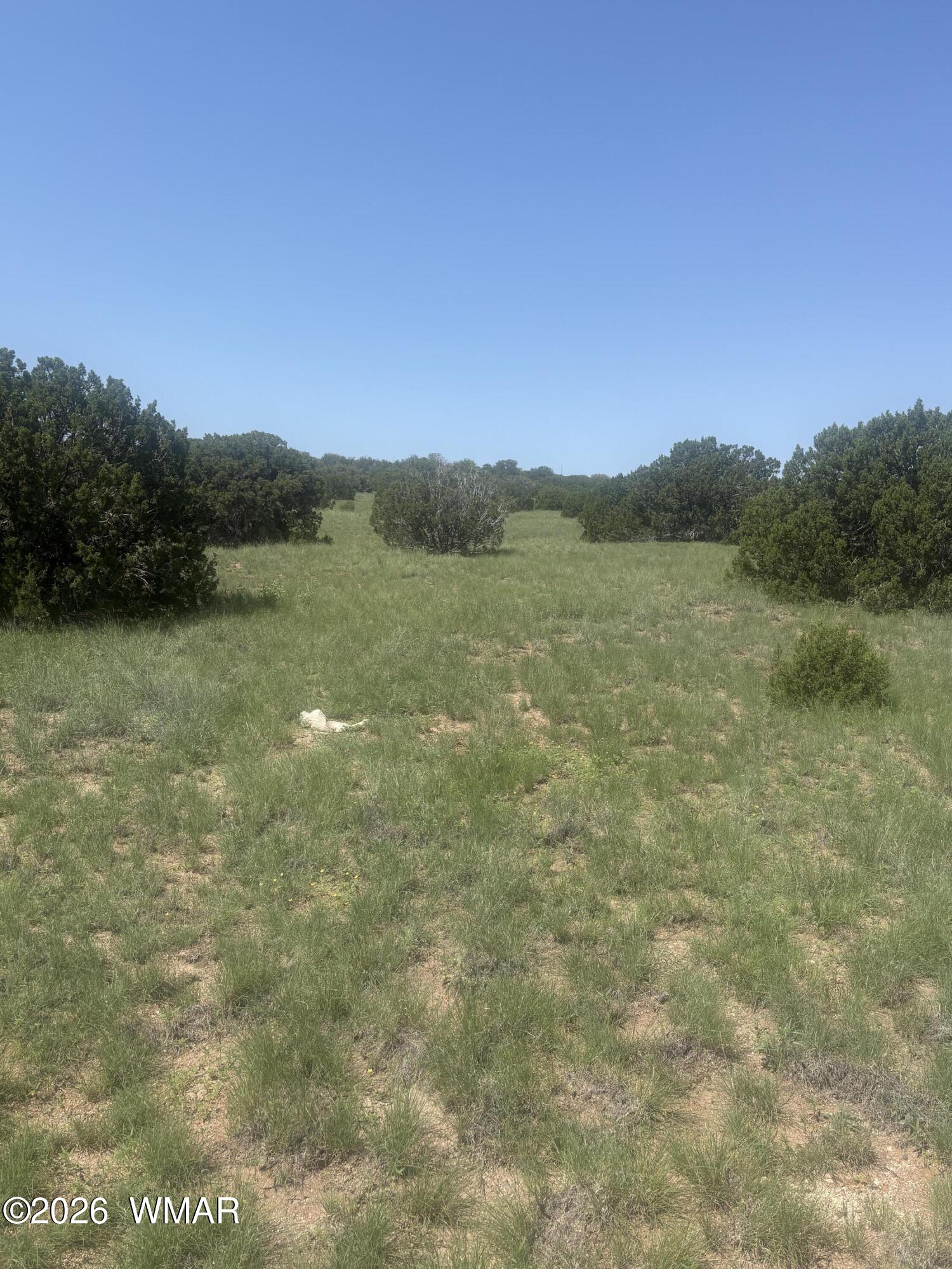145 Zuni Drive, Concho, AZ 85924 — Photo 1 of 6