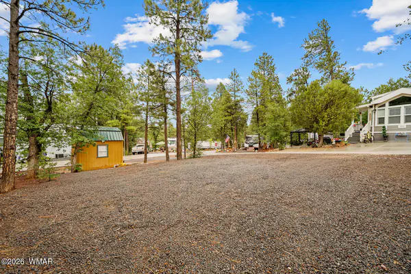 3650 S Latigo Way, Show Low, AZ 85901